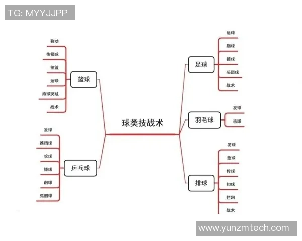 排球技艺的巅峰之作：深入解析西安排球队的战术与技巧